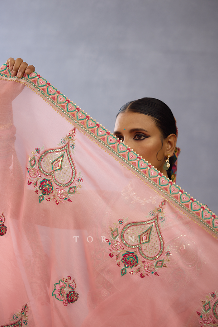 Dil Rubeka Saree