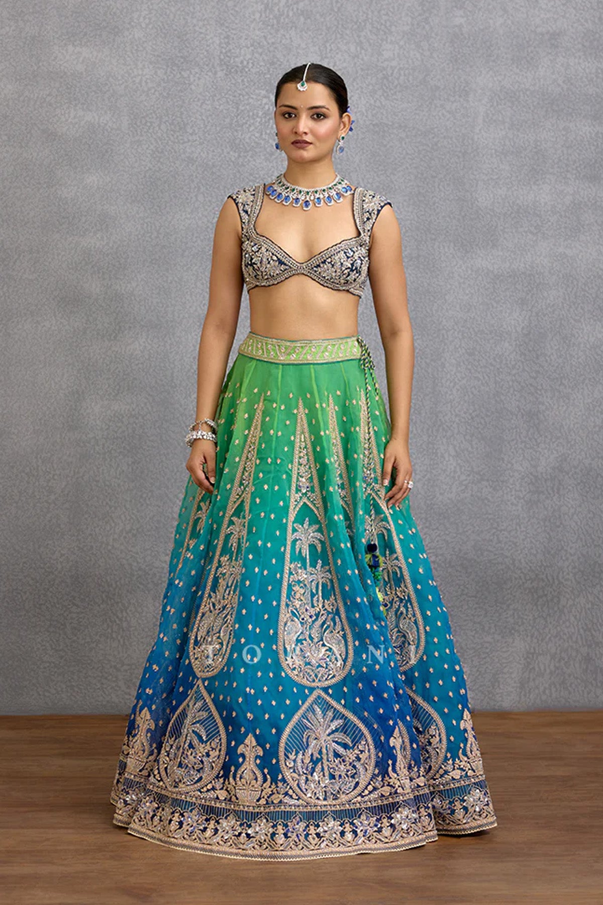 Varnika Meera Lehenga Set