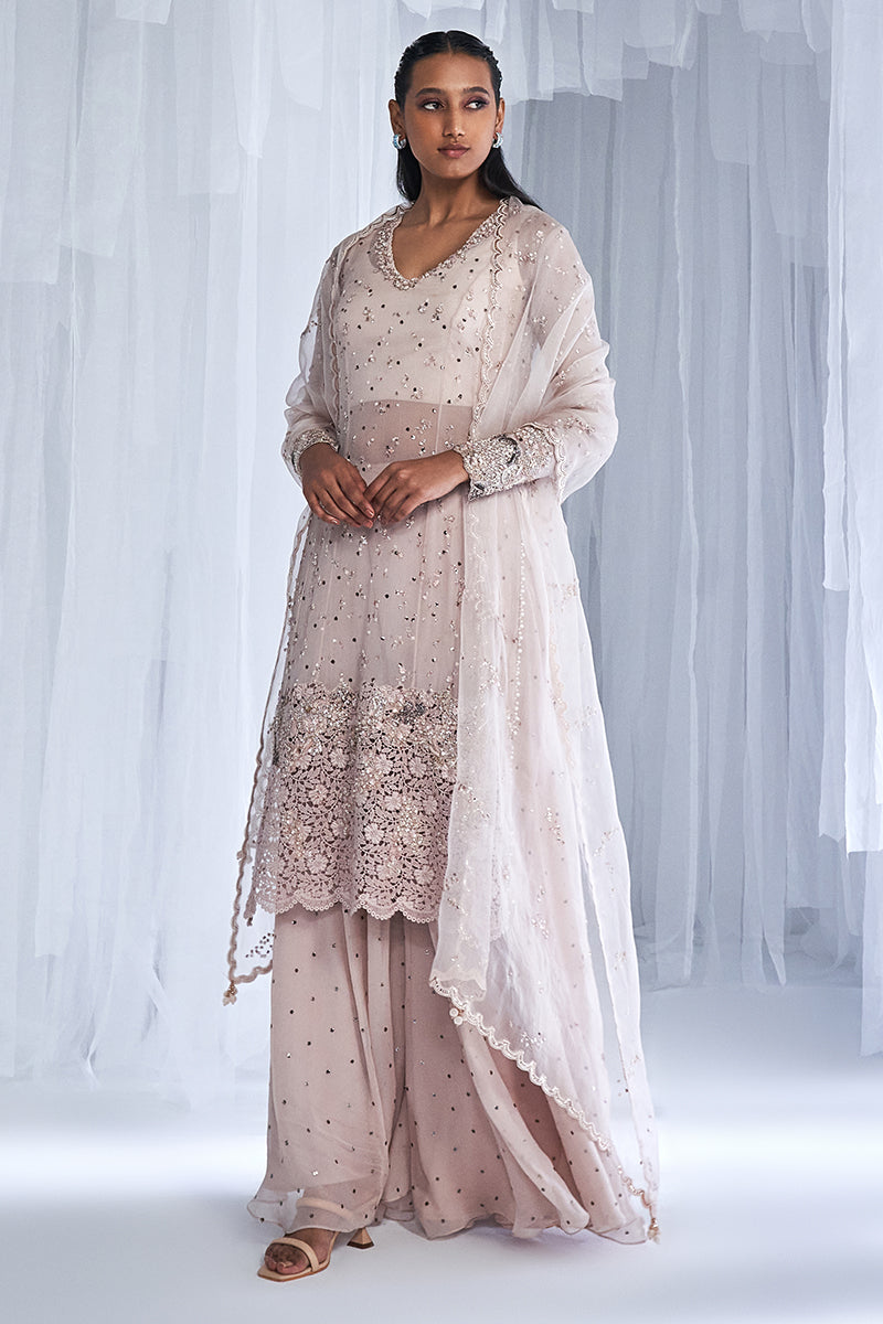 Anahita Kamdani Kurta And Sharara Set