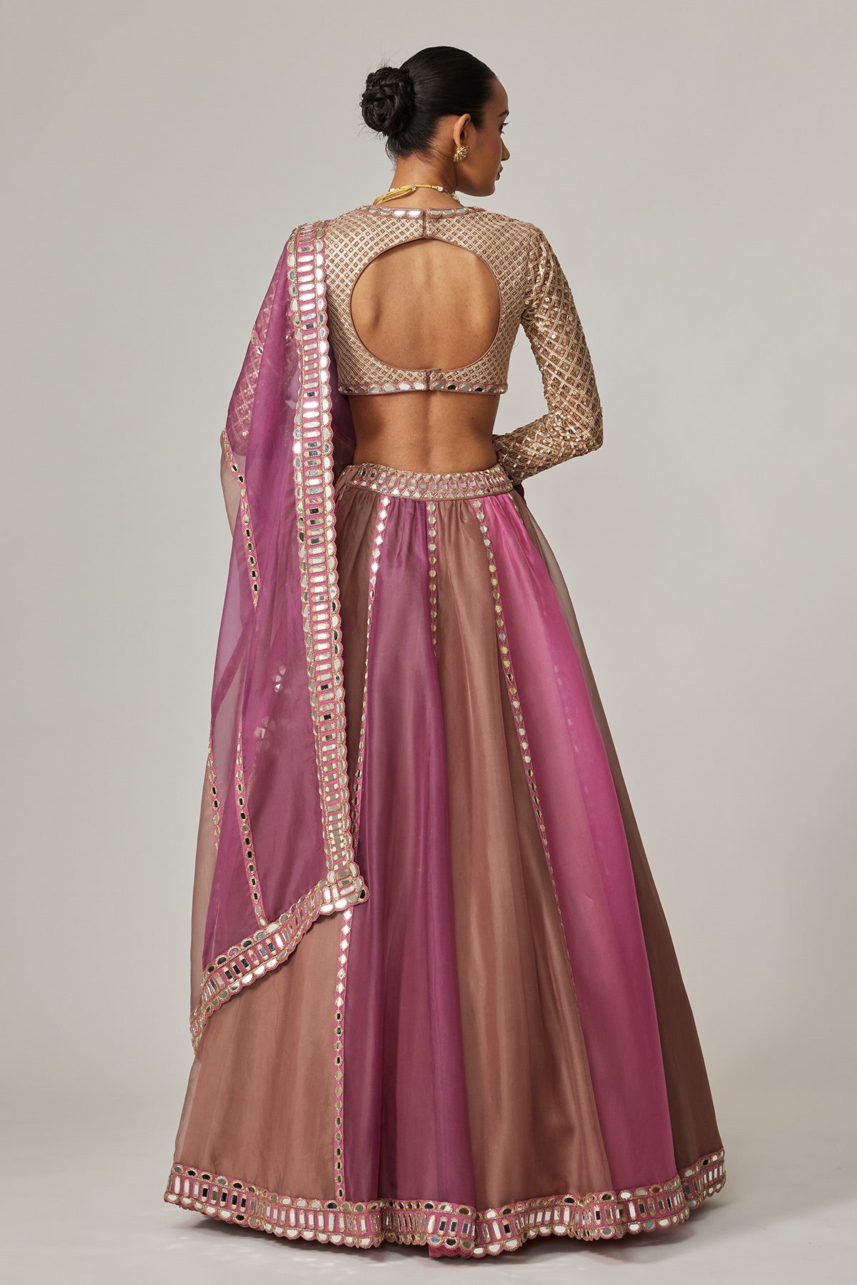 Mud Mauve Multicolor Lehenga With V Neck Blouse