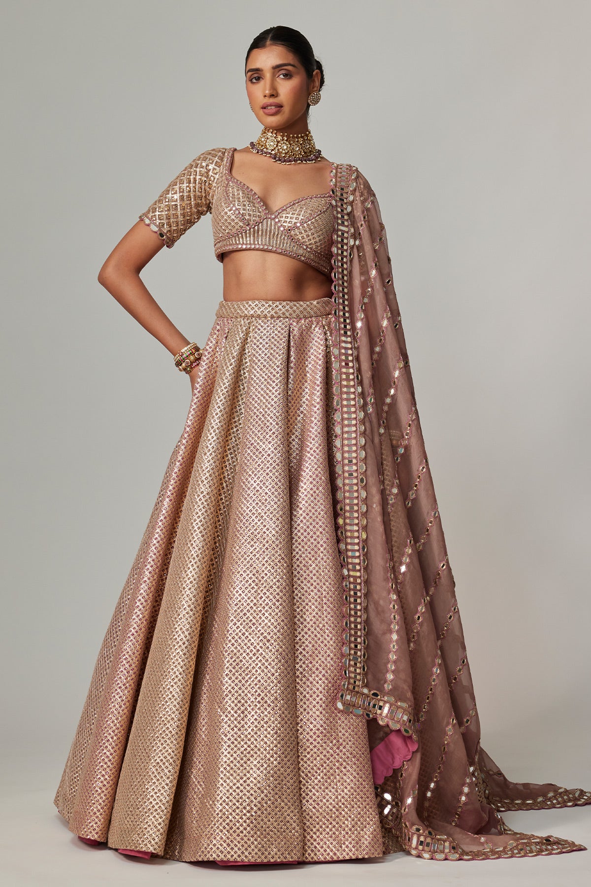 Deep Beige Multicolor Mettalic Lehenga Set