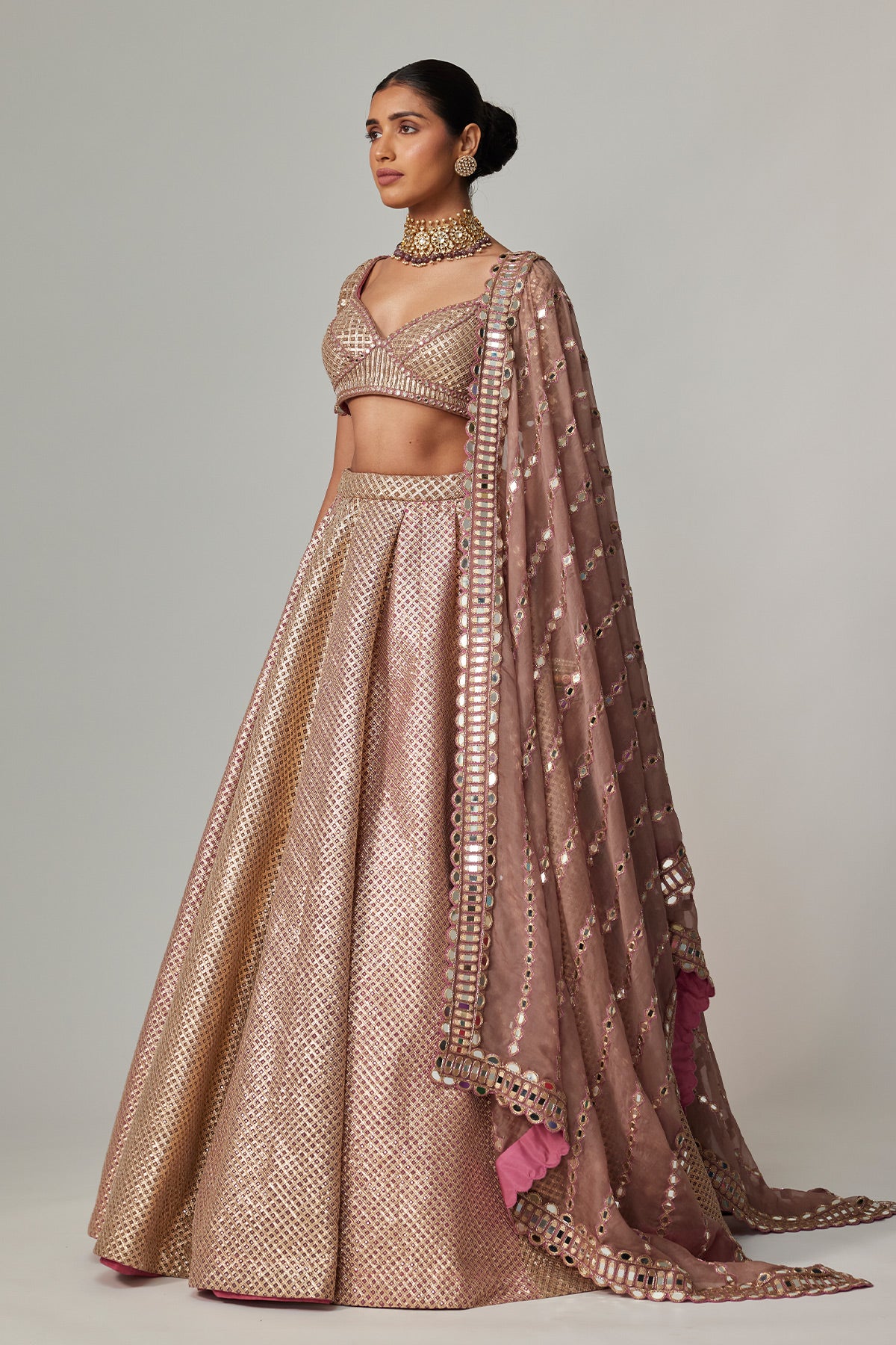 Deep Beige Multicolor Mettalic Lehenga Set