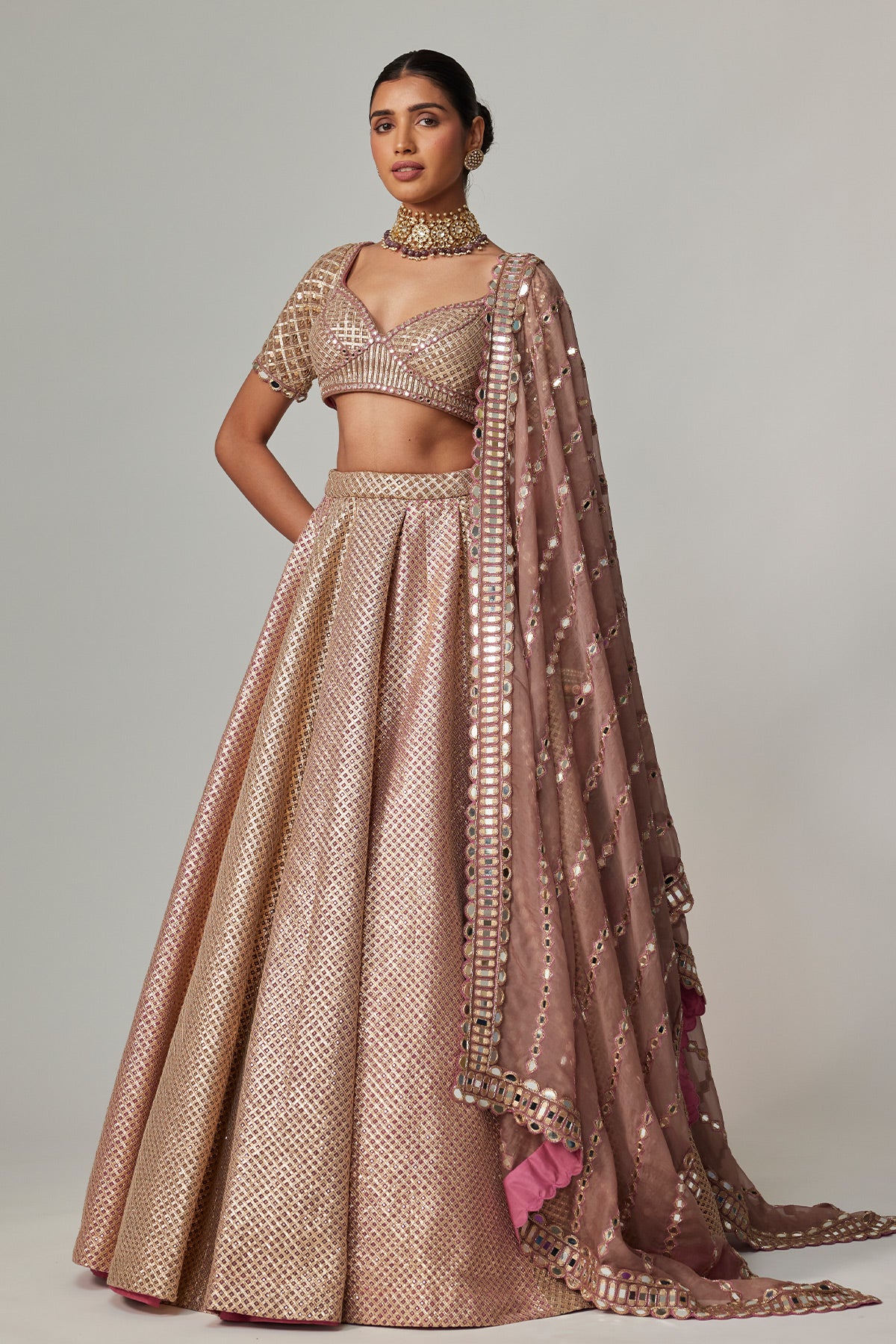 Deep Beige Multicolor Mettalic Lehenga Set