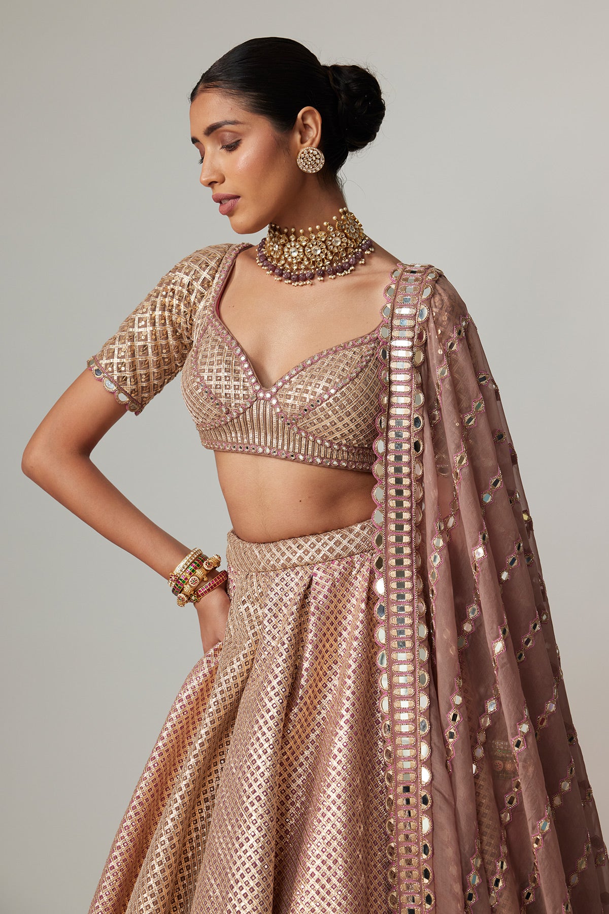 Deep Beige Multicolor Mettalic Lehenga Set