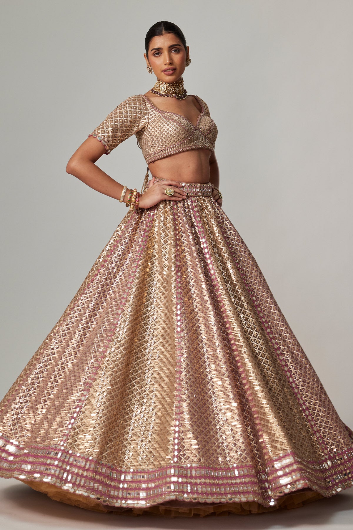 Deep Beige Multicolor Metallic Lehenga With Elbow Blouse