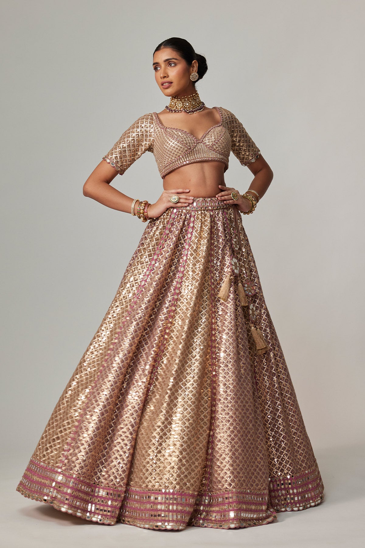 Deep Beige Multicolor Metallic Lehenga With Elbow Blouse