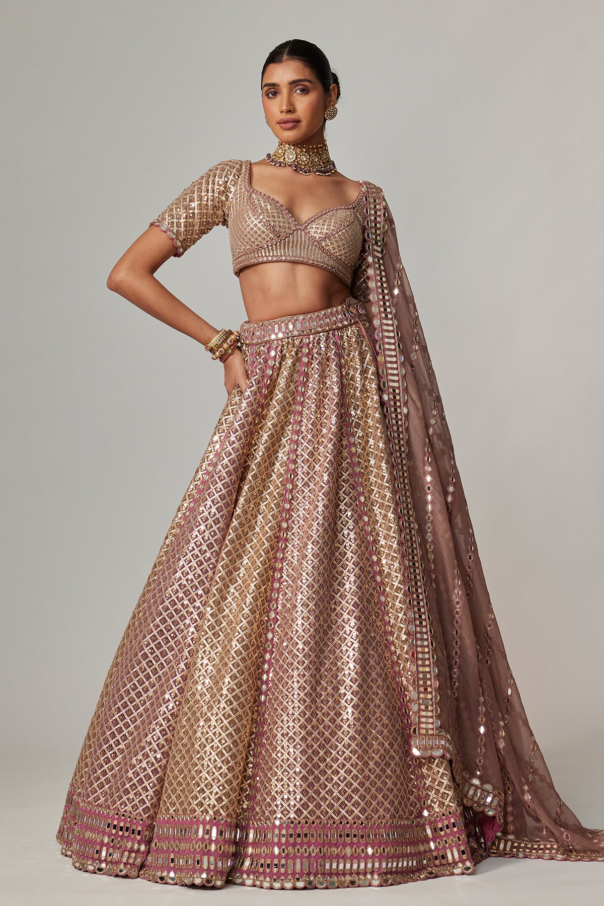Deep Beige Multicolor Metallic Lehenga With Elbow Blouse
