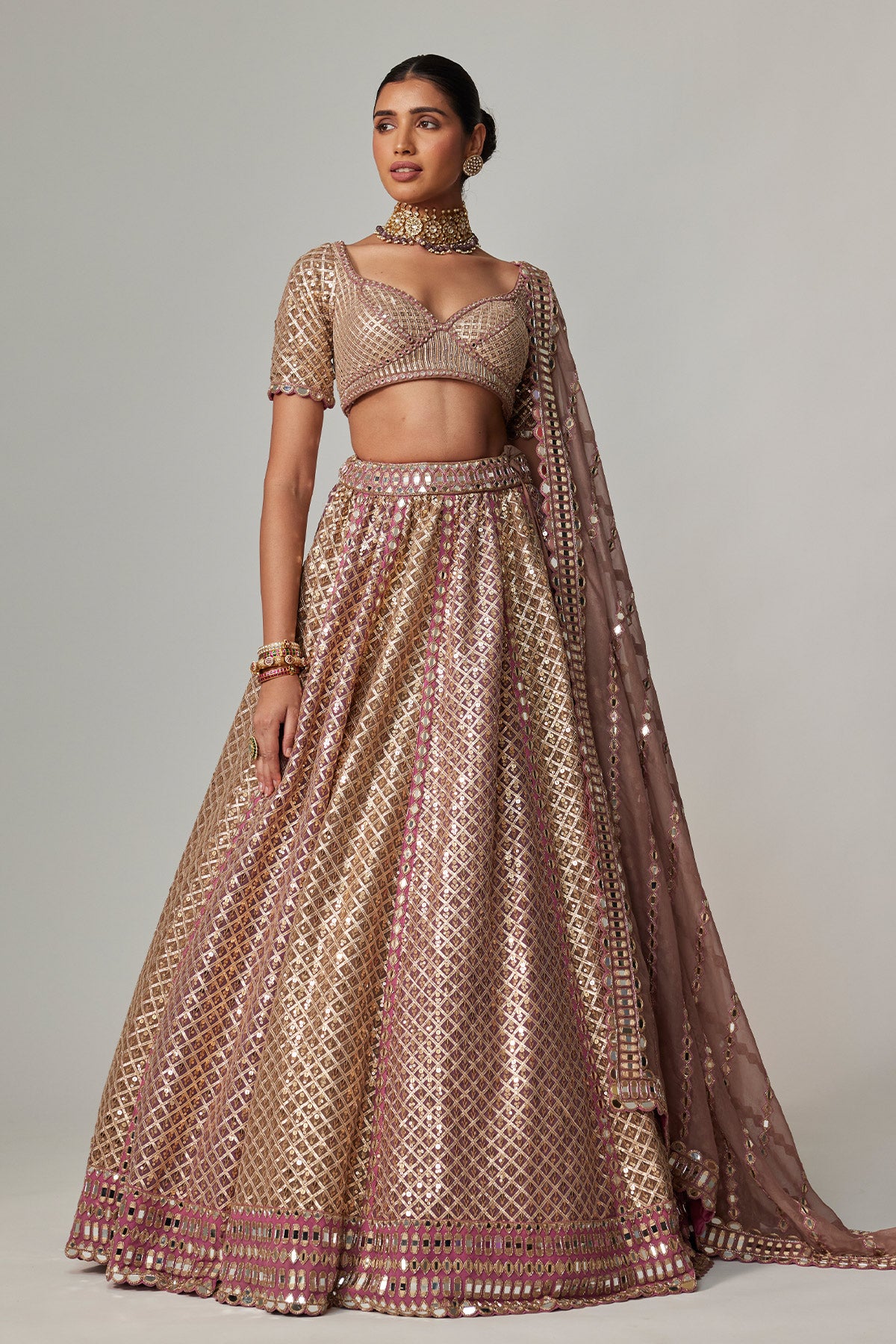 Deep Beige Multicolor Metallic Lehenga With Elbow Blouse