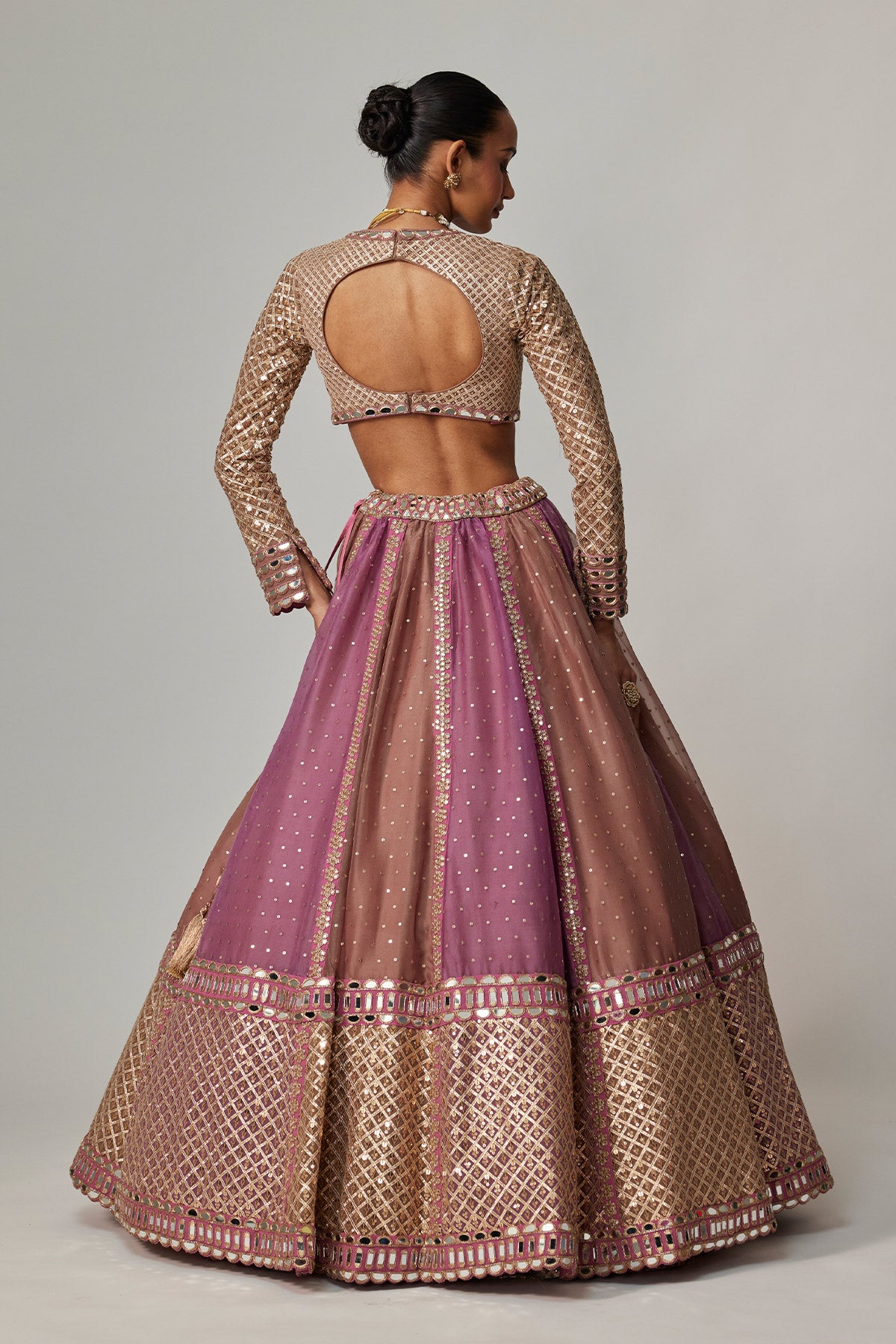 Mud Mauve Multicolor Chita Sequin Scattered Lehenga Set With V Neck Full Sleeves