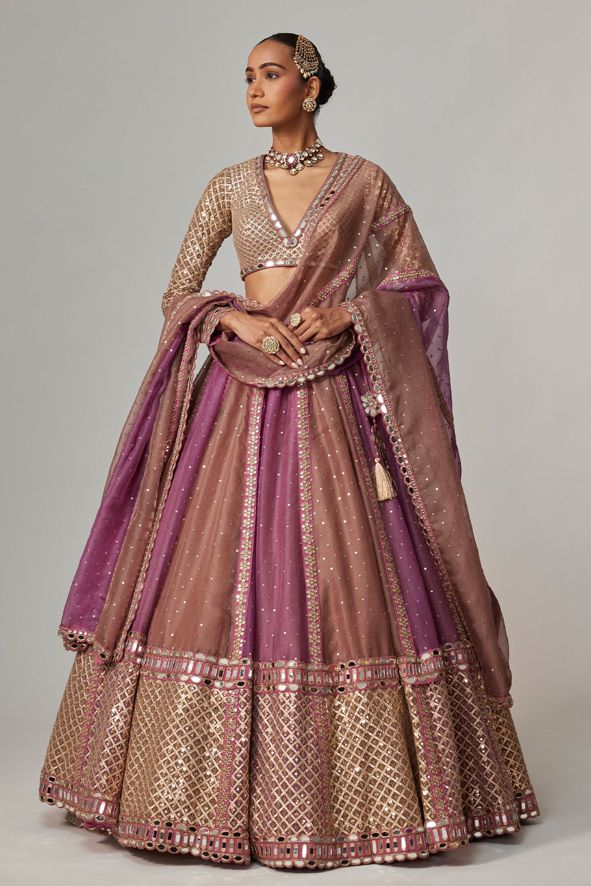 Mud Mauve Multicolor Chita Sequin Scattered Lehenga Set With V Neck Full Sleeves