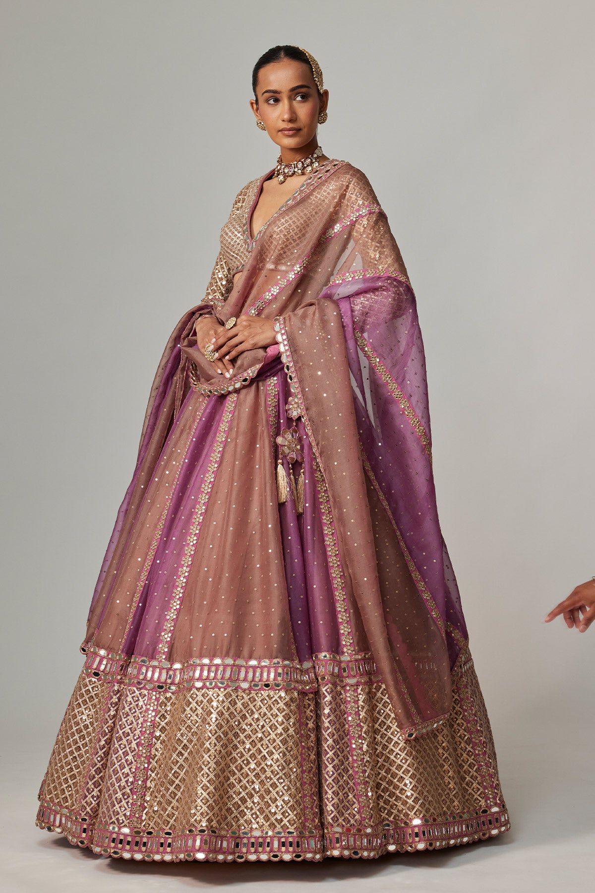 Mud Mauve Multicolor Chita Sequin Scattered Lehenga Set With V Neck Full Sleeves