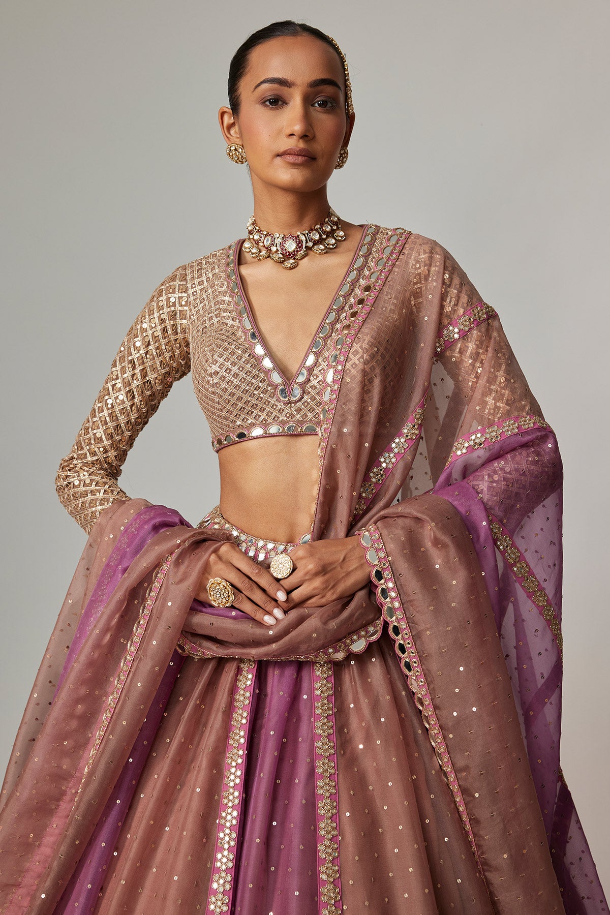 Mud Mauve Multicolor Chita Sequin Scattered Lehenga Set With V Neck Full Sleeves