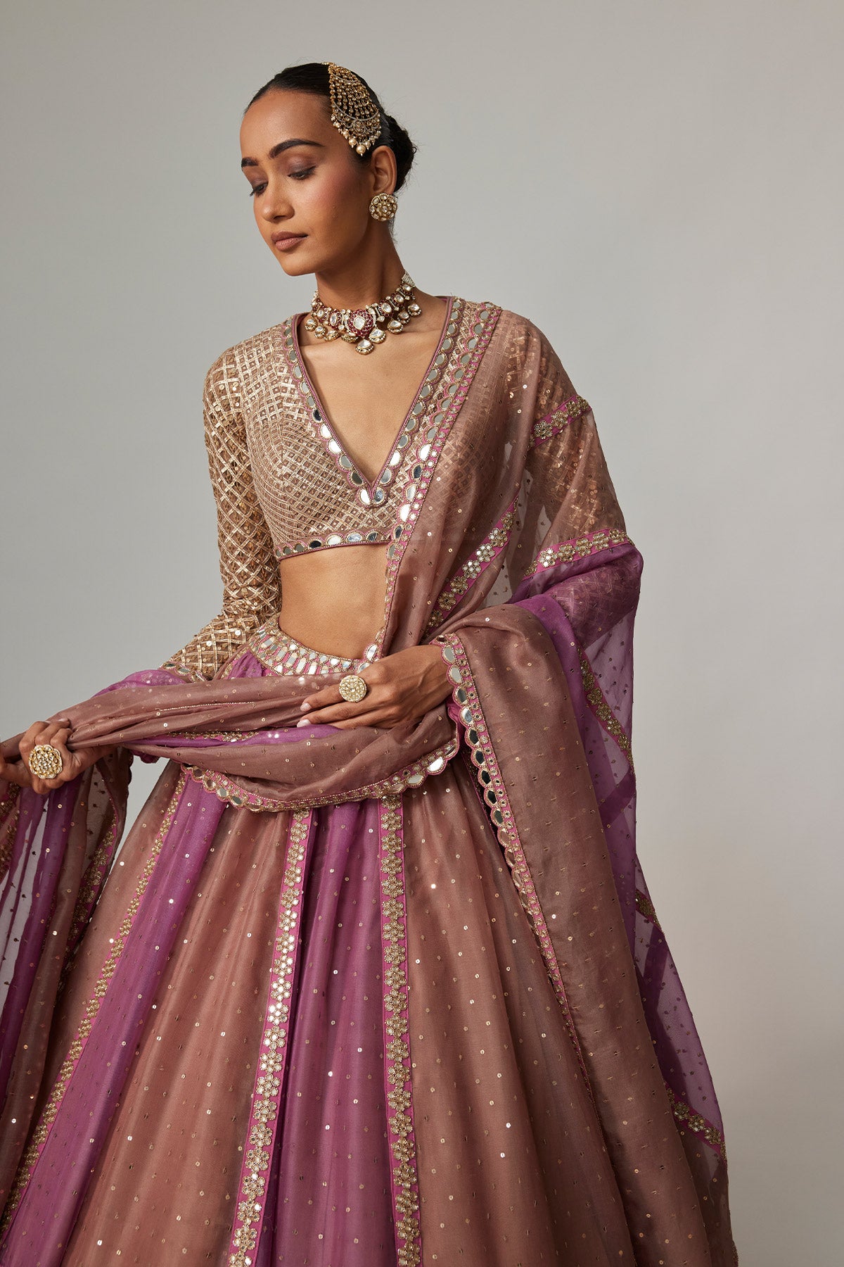 Mud Mauve Multicolor Chita Sequin Scattered Lehenga Set With V Neck Full Sleeves