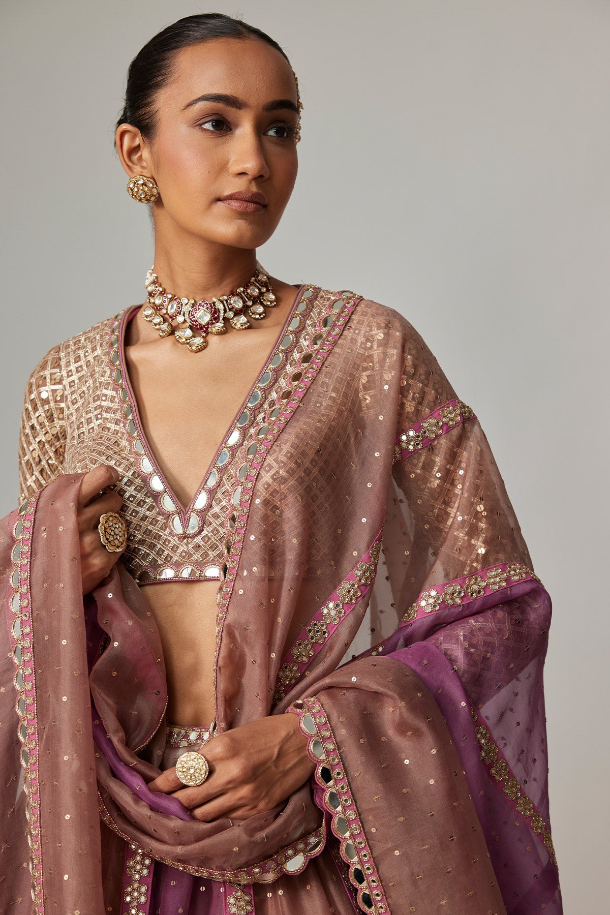 Mud Mauve Multicolor Chita Sequin Scattered Lehenga Set With V Neck Full Sleeves
