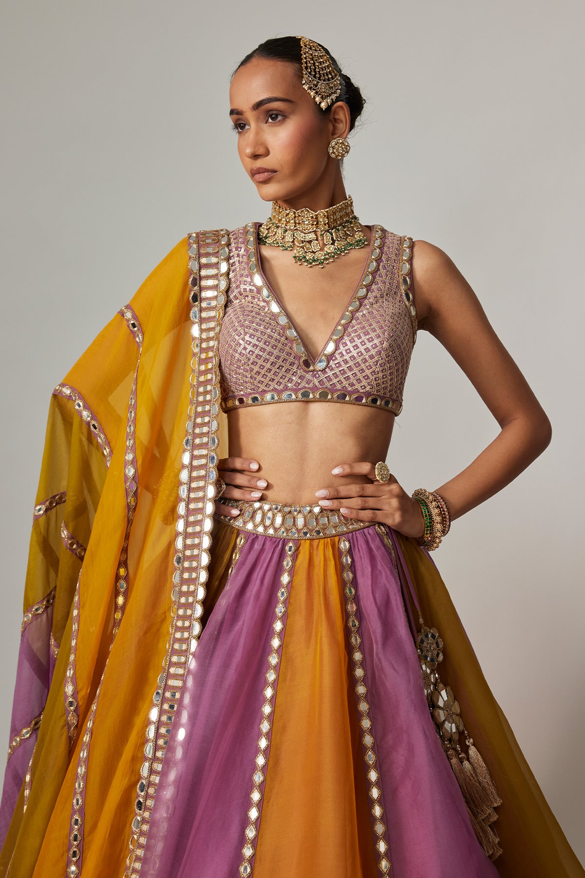 Mustard Multicolor Linear Lehenga With V Neck Blouse