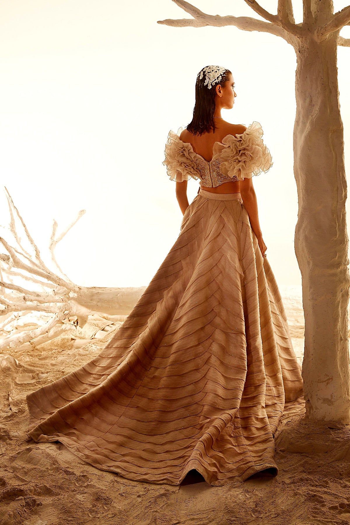 Crush Organza Ruffle blouse with Layered skirt