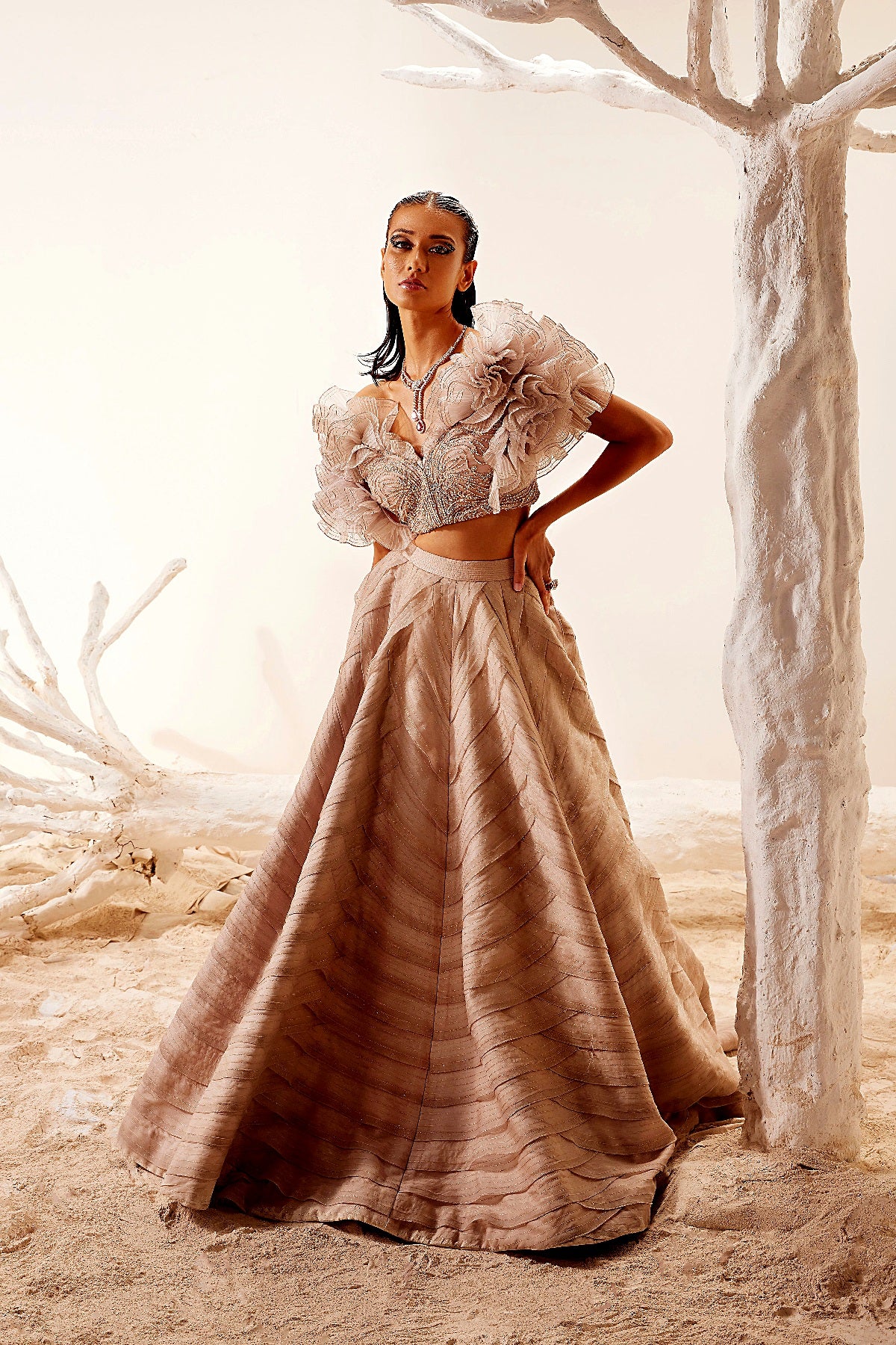 Crush Organza Ruffle blouse with Layered skirt