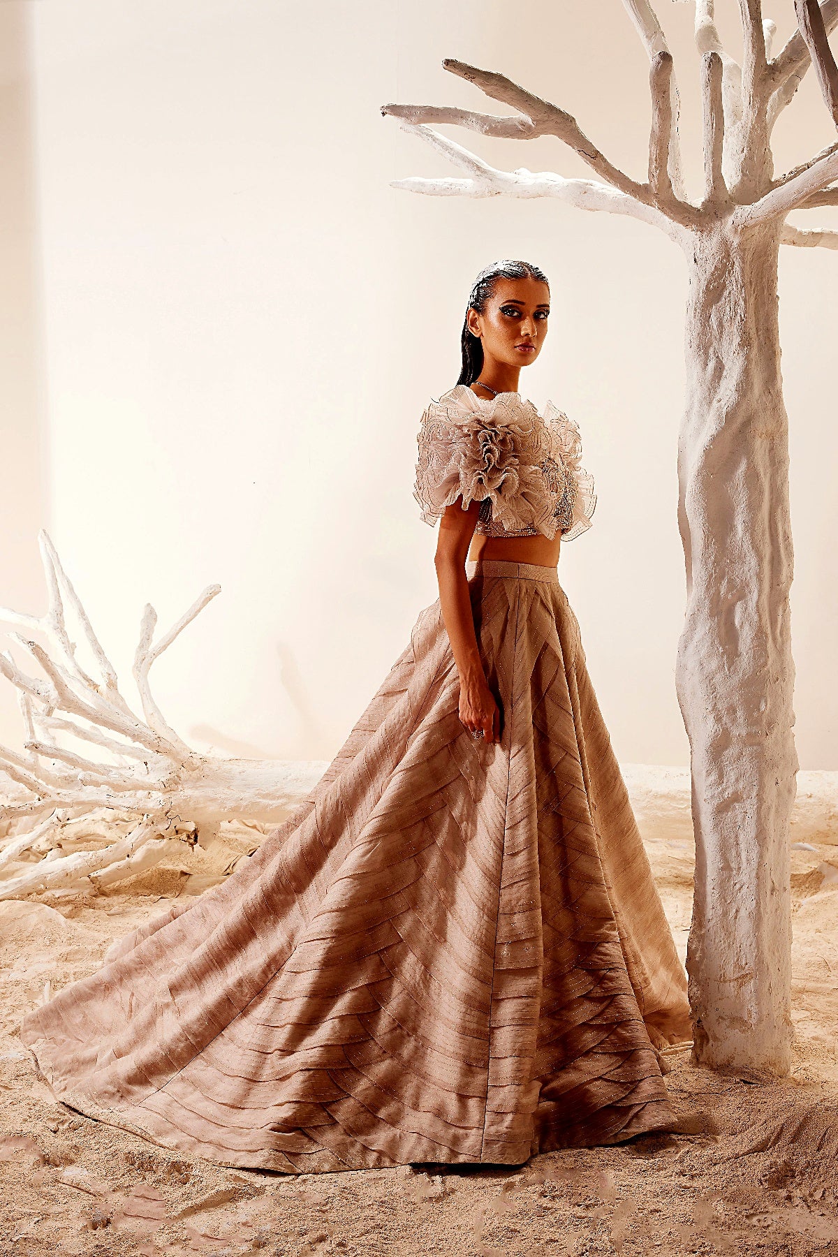 Crush Organza Ruffle blouse with Layered skirt
