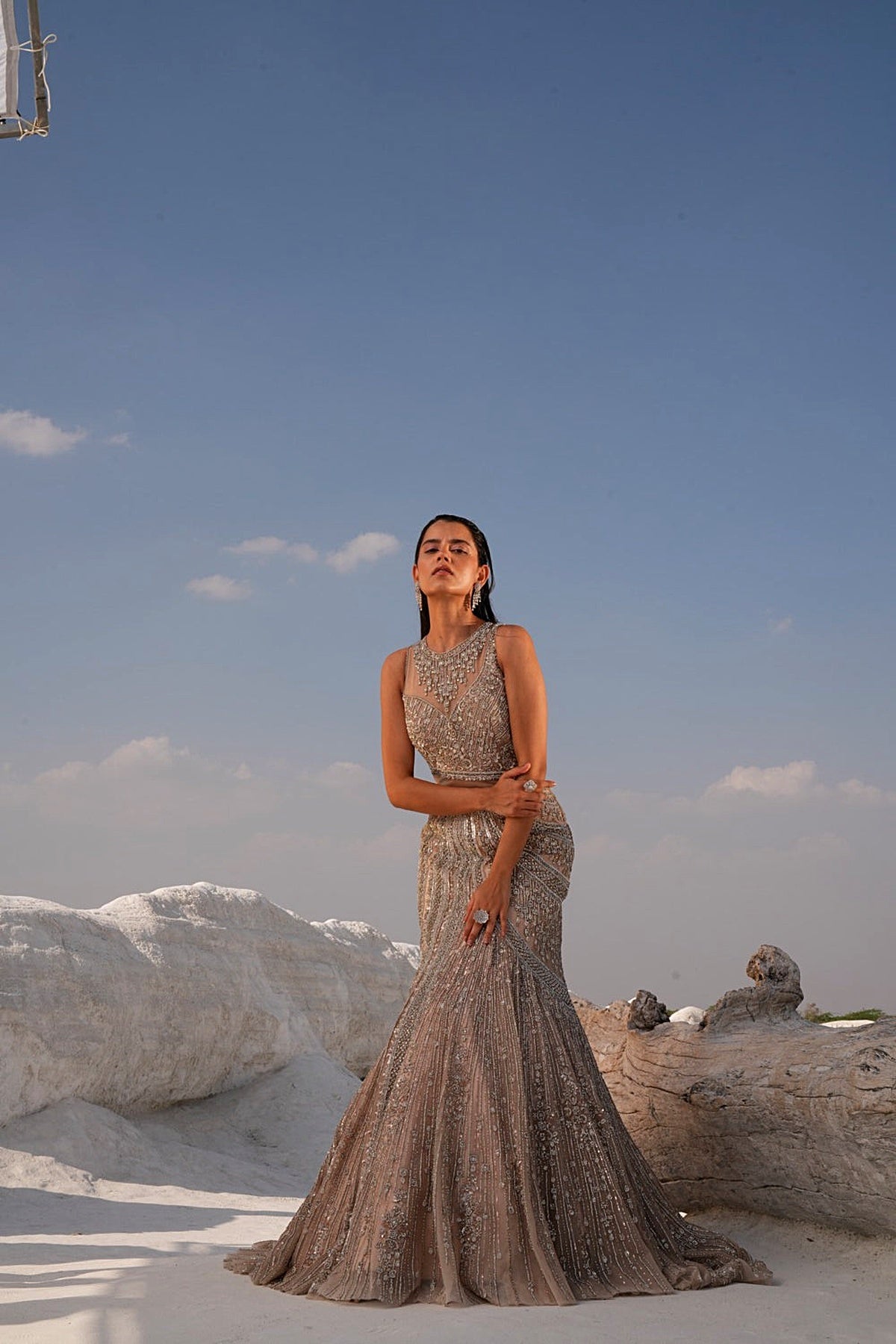 GOLD FISH CUT EMBELLISHED GOWN
