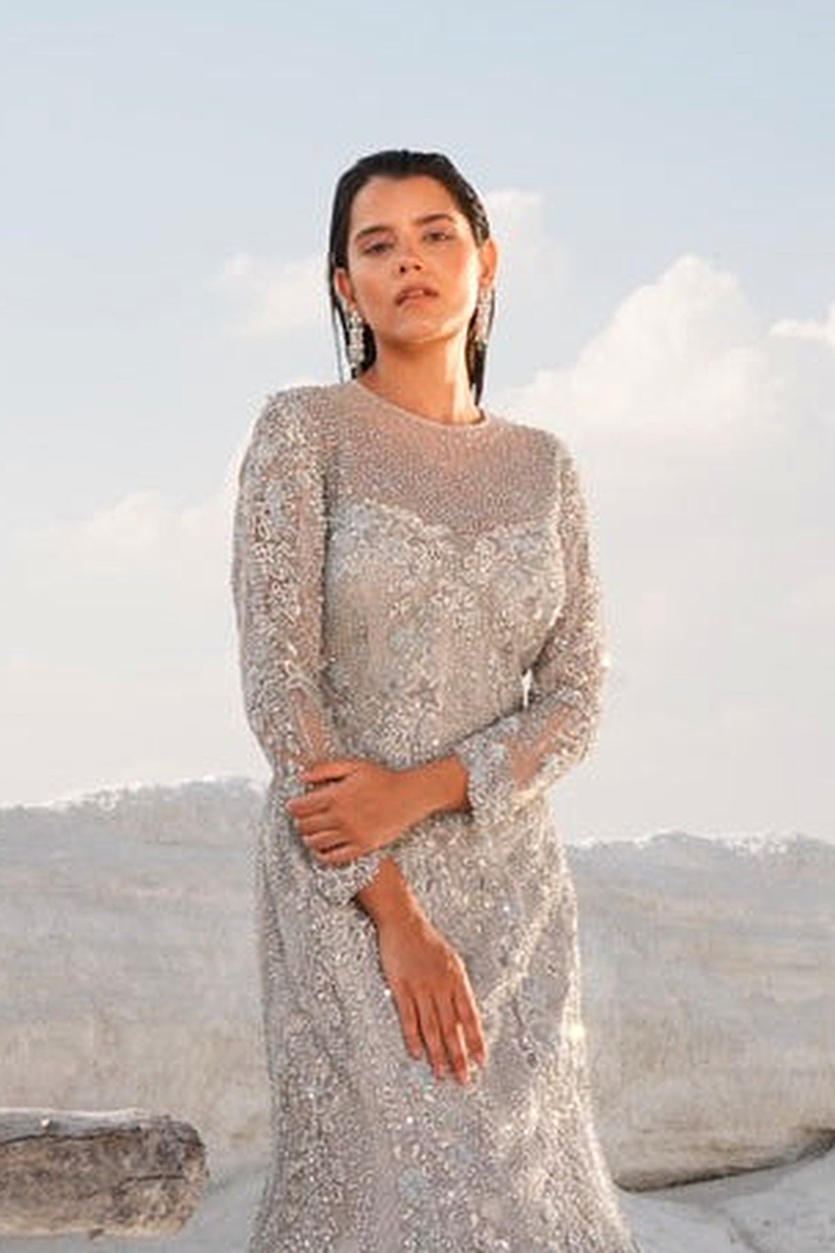 SILVER FISH CUT EMBELLISHED GOWN