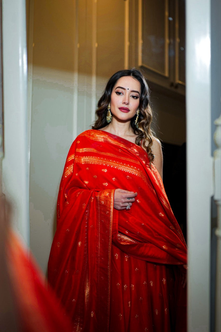 THE NARANGI BEHNAAZ ANARKALI