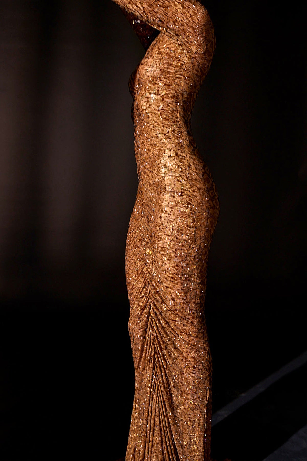 Wild Cat Gown