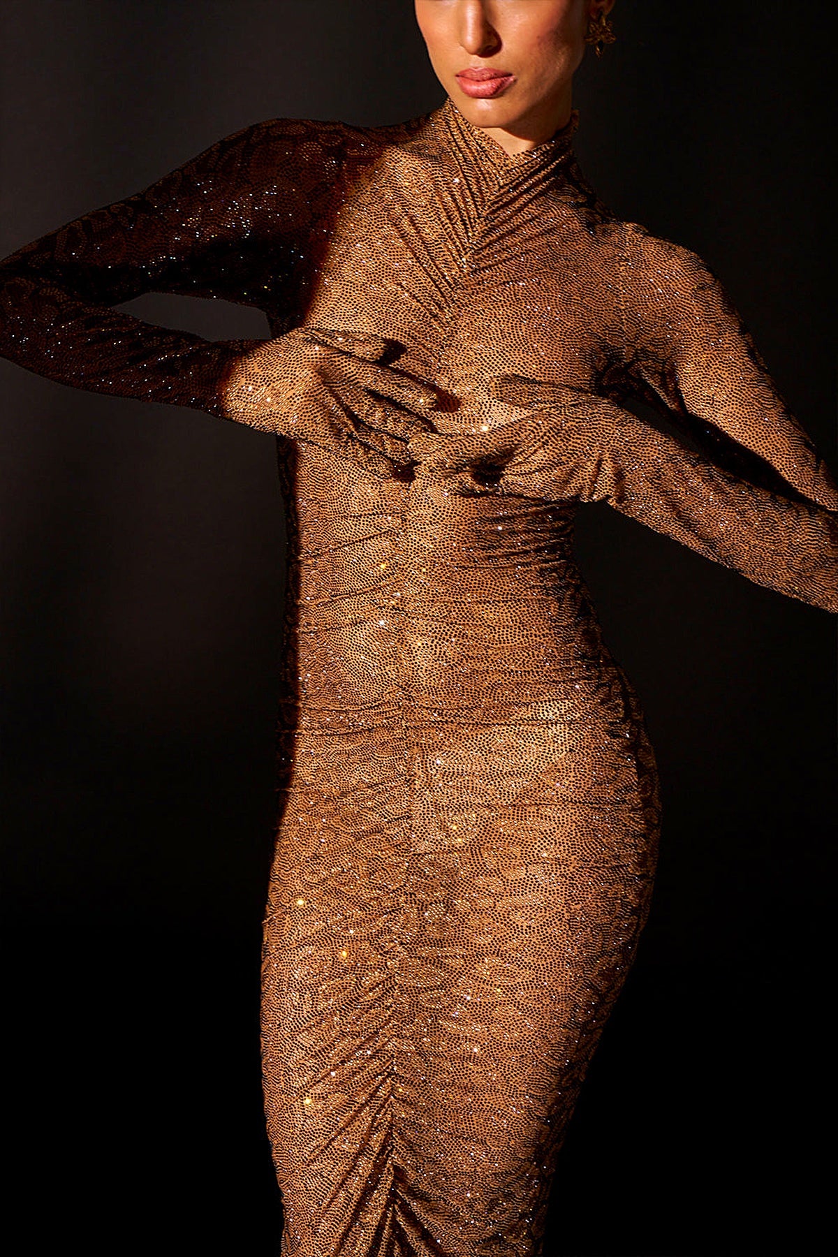 Wild Cat Gown