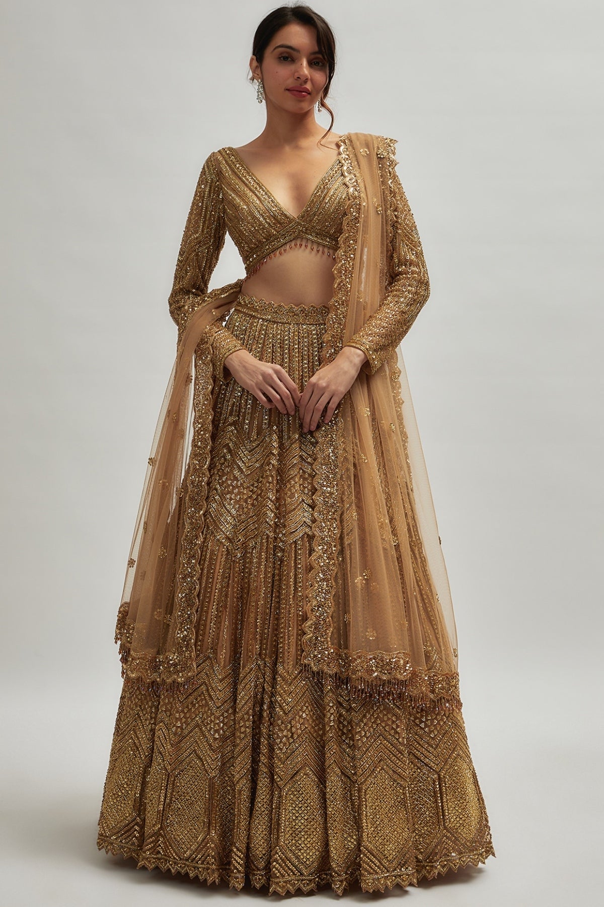 Dark Gold Net Hand Embroidered Lehenga Set