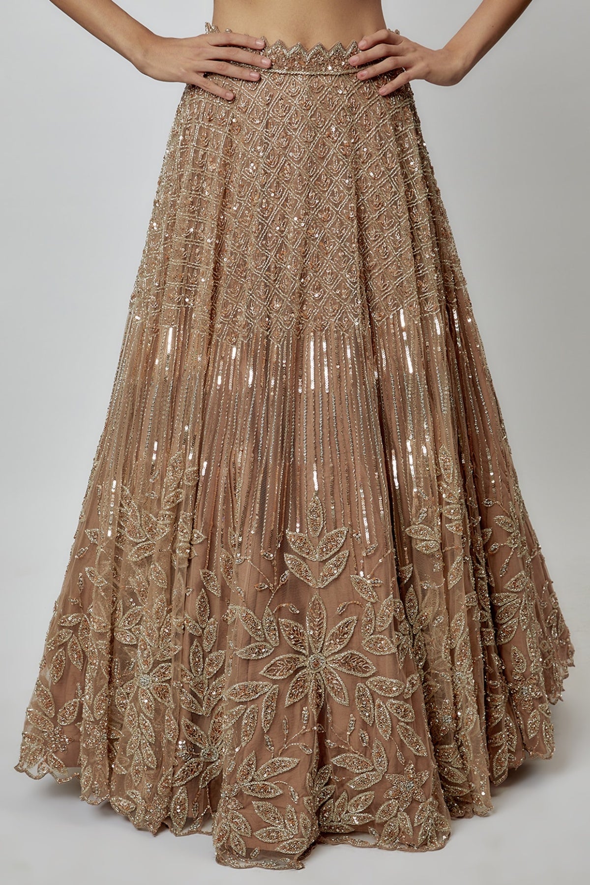 Beige Gold Net Embroidered Lehenga Set