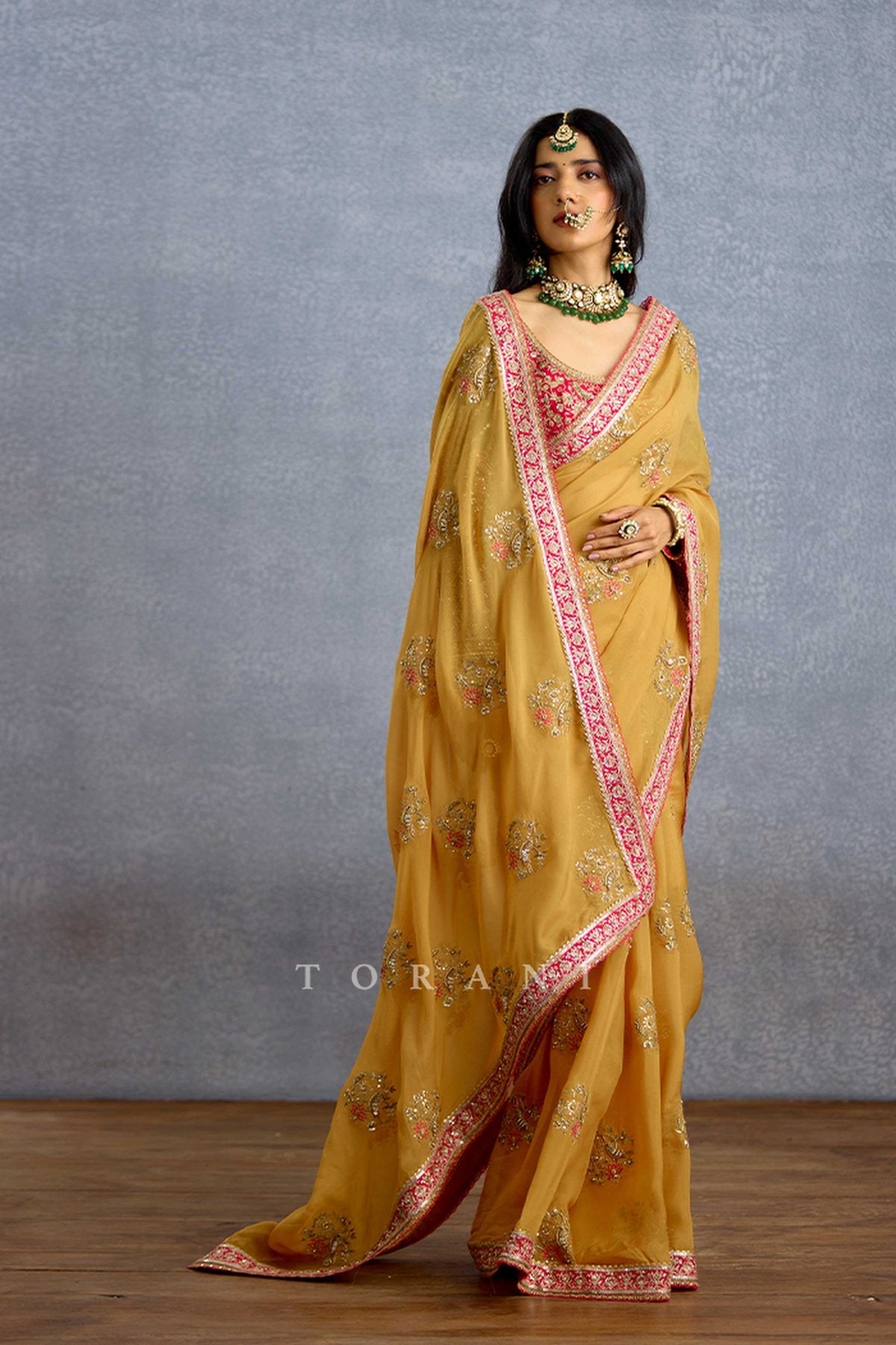 Naargis Zard Naureen Saree