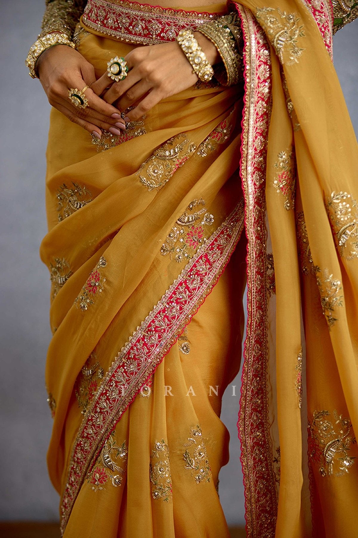 Naargis Zard Naureen Saree