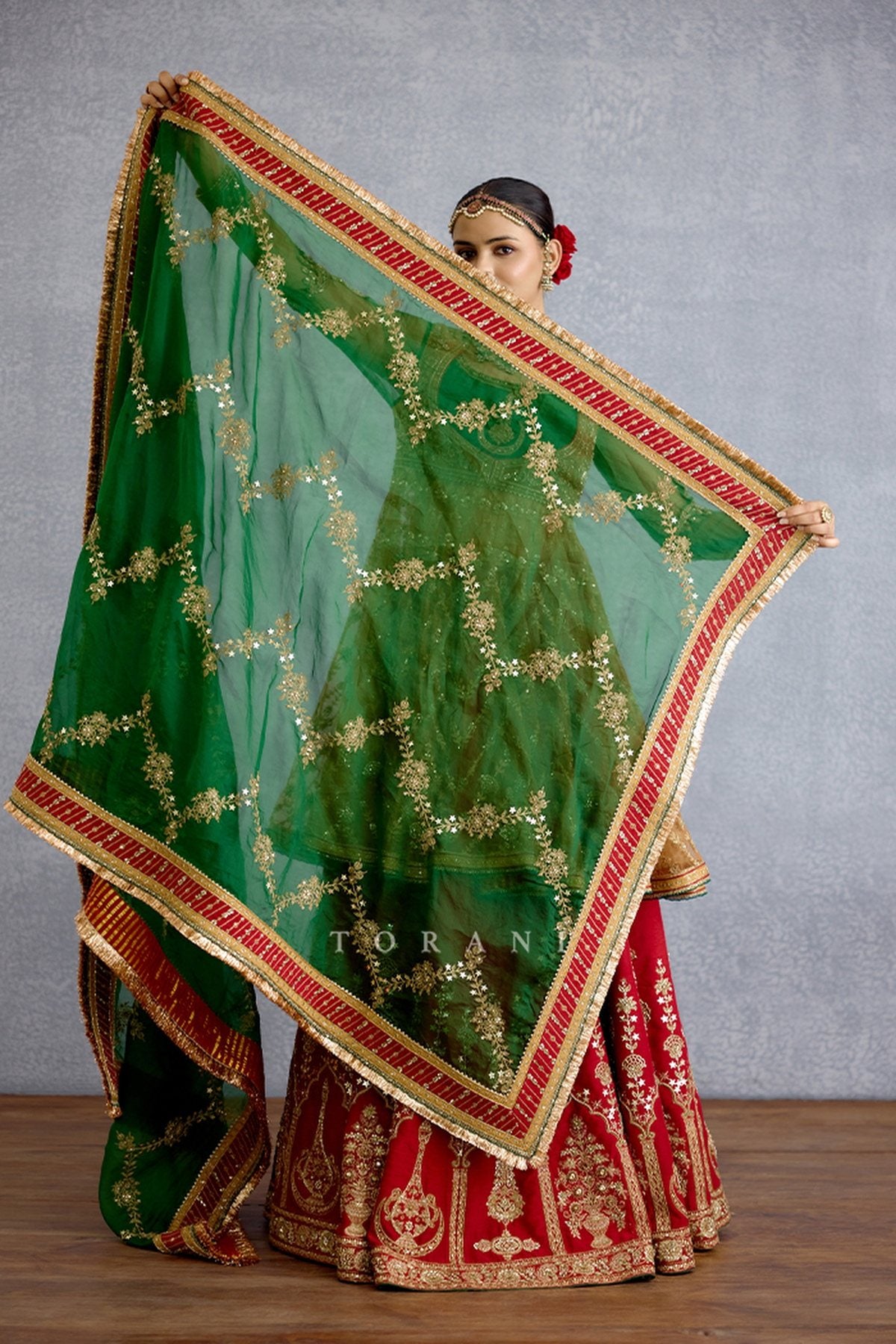 Rangnoor Hameeda Lehenga Set
