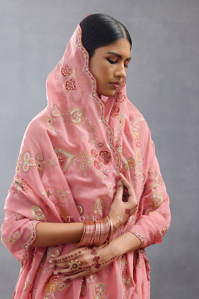 Dil Ruba Safiyya Saree