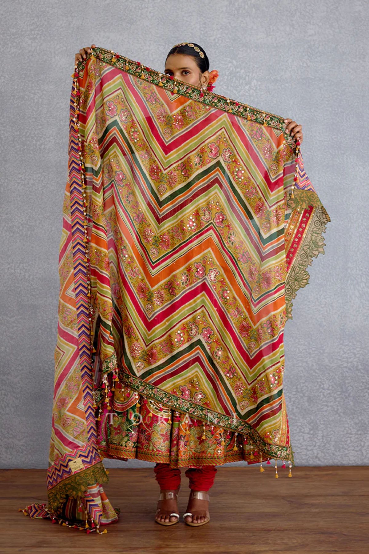 Chitrangi Sarika Anarkali Set