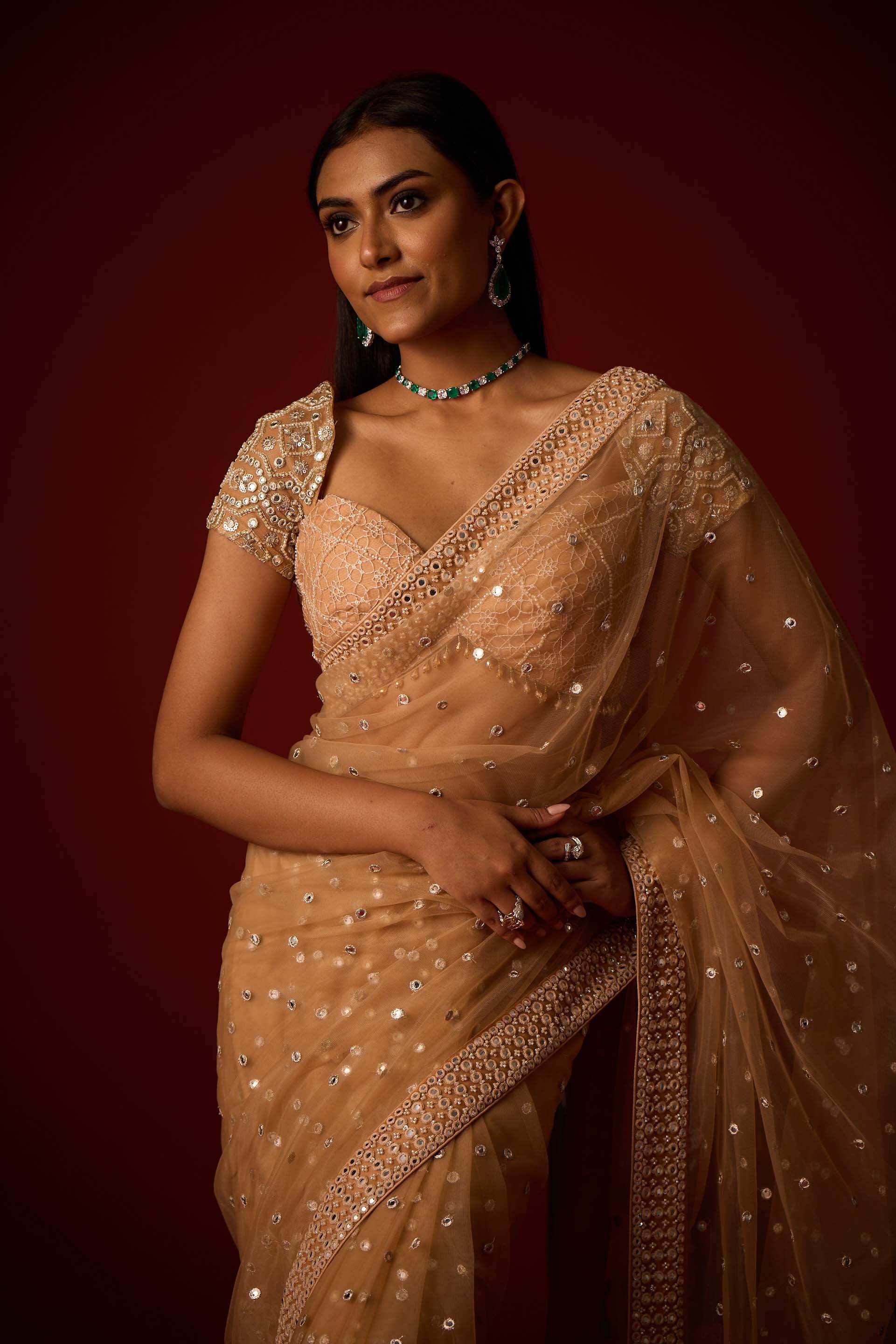 Net Mirrorwork Embellished Saree With Mirrorwork Beadwork Blouse