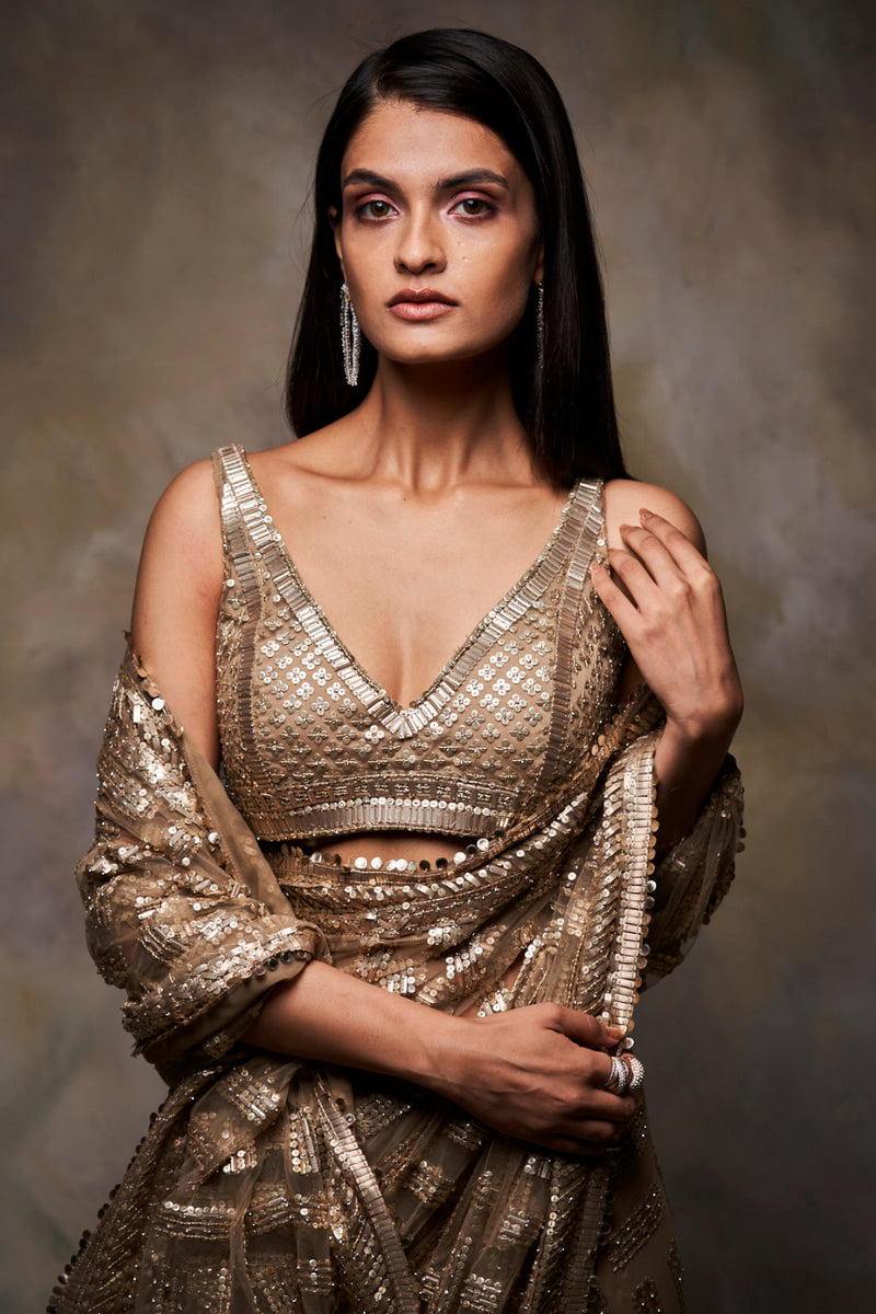 Gold Sequin Saree