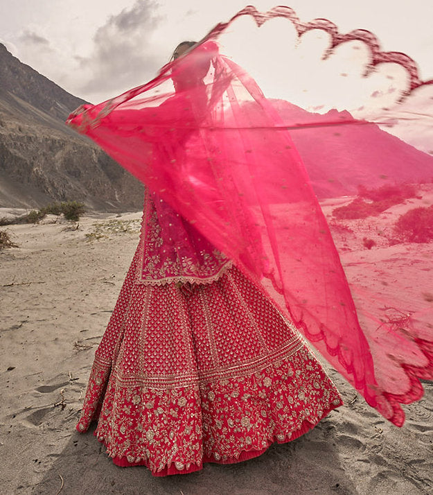 Ameen Lehenga Set