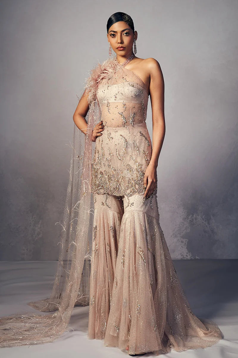 Terri Shimmer Tulle Sharara Suit Set