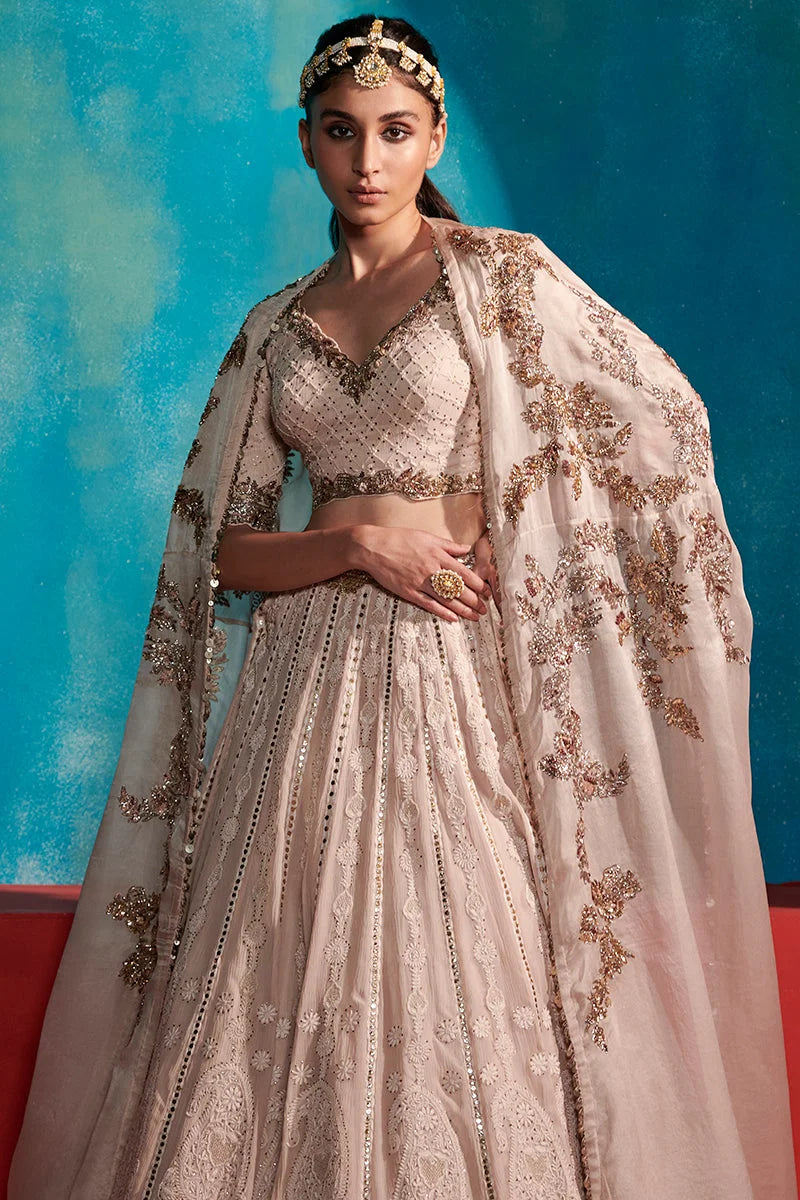 Elisiya Chikankari Lehenga Set