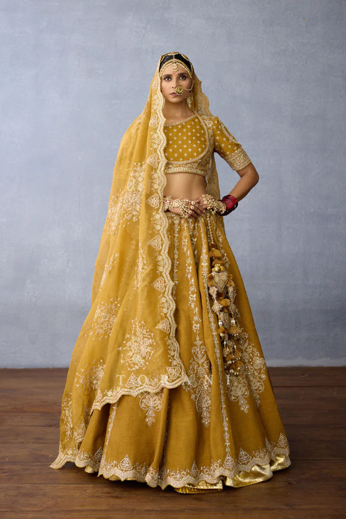 Mehre Zara Lehenga Set