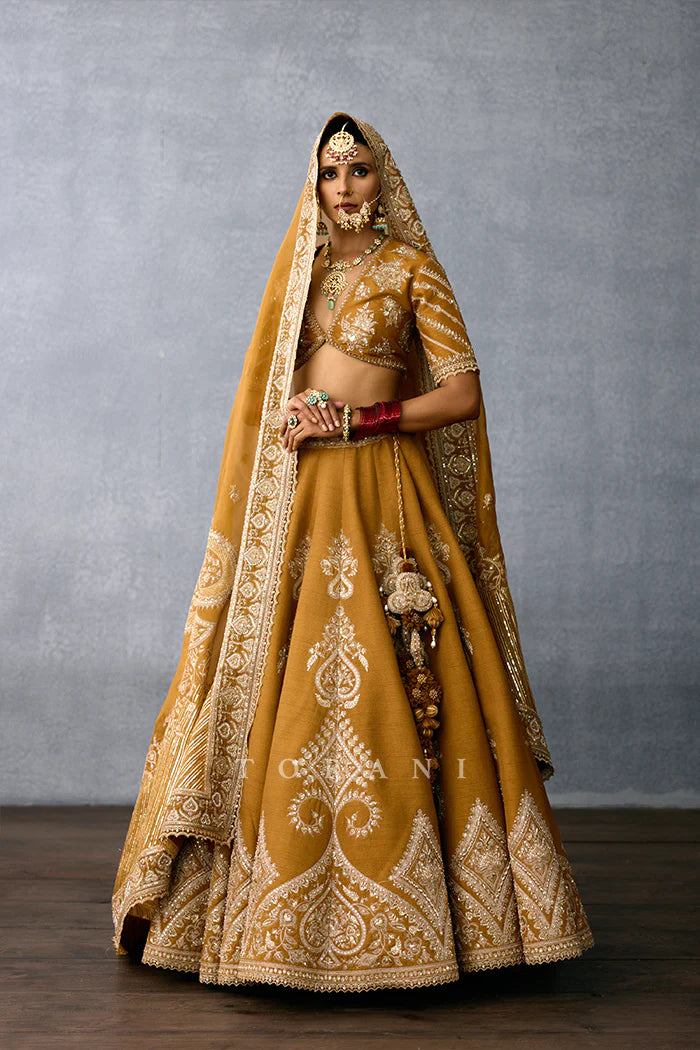 Mehre Sultana Lehenga Set