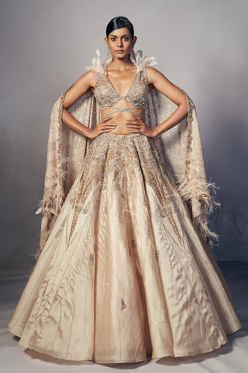 Renne Organza Lehenga Set