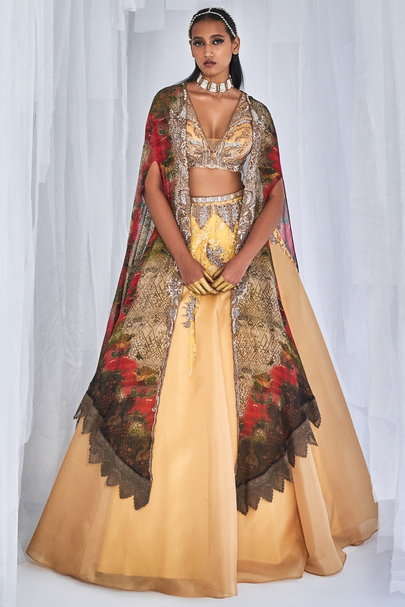 Aaleyah Organza Lehenga Set