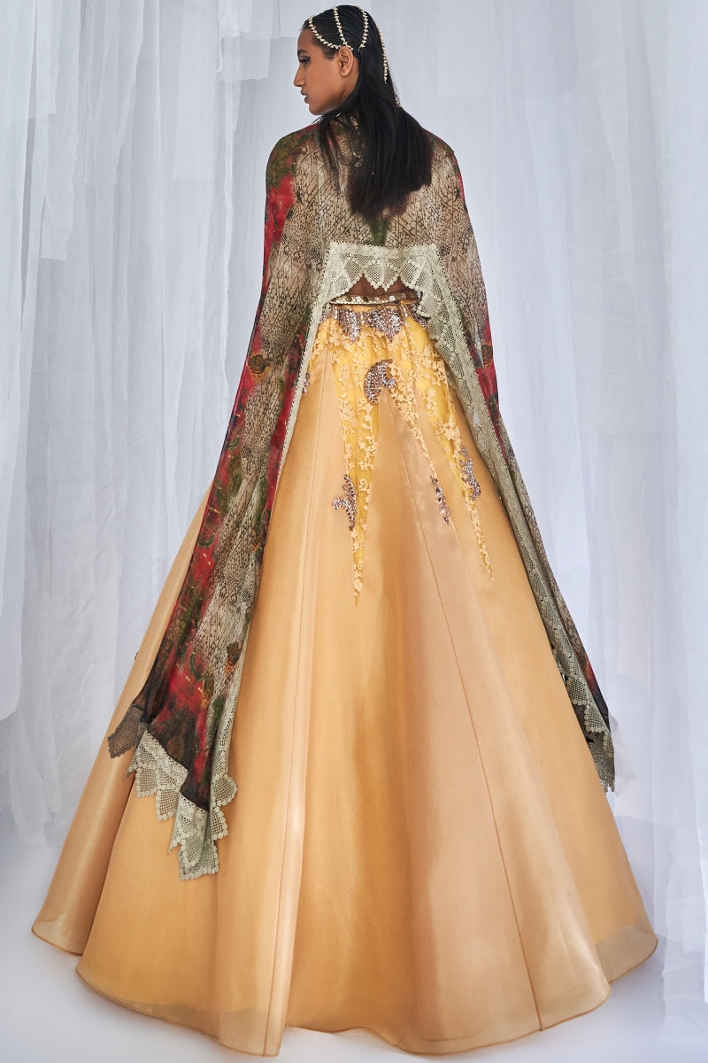 Aaleyah Organza Lehenga Set