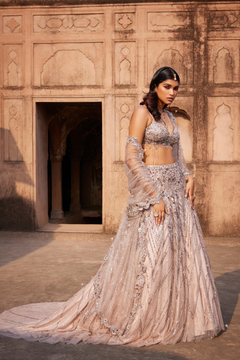 Phaenna Silver Shimmer Tulle Embroidered Lehenga