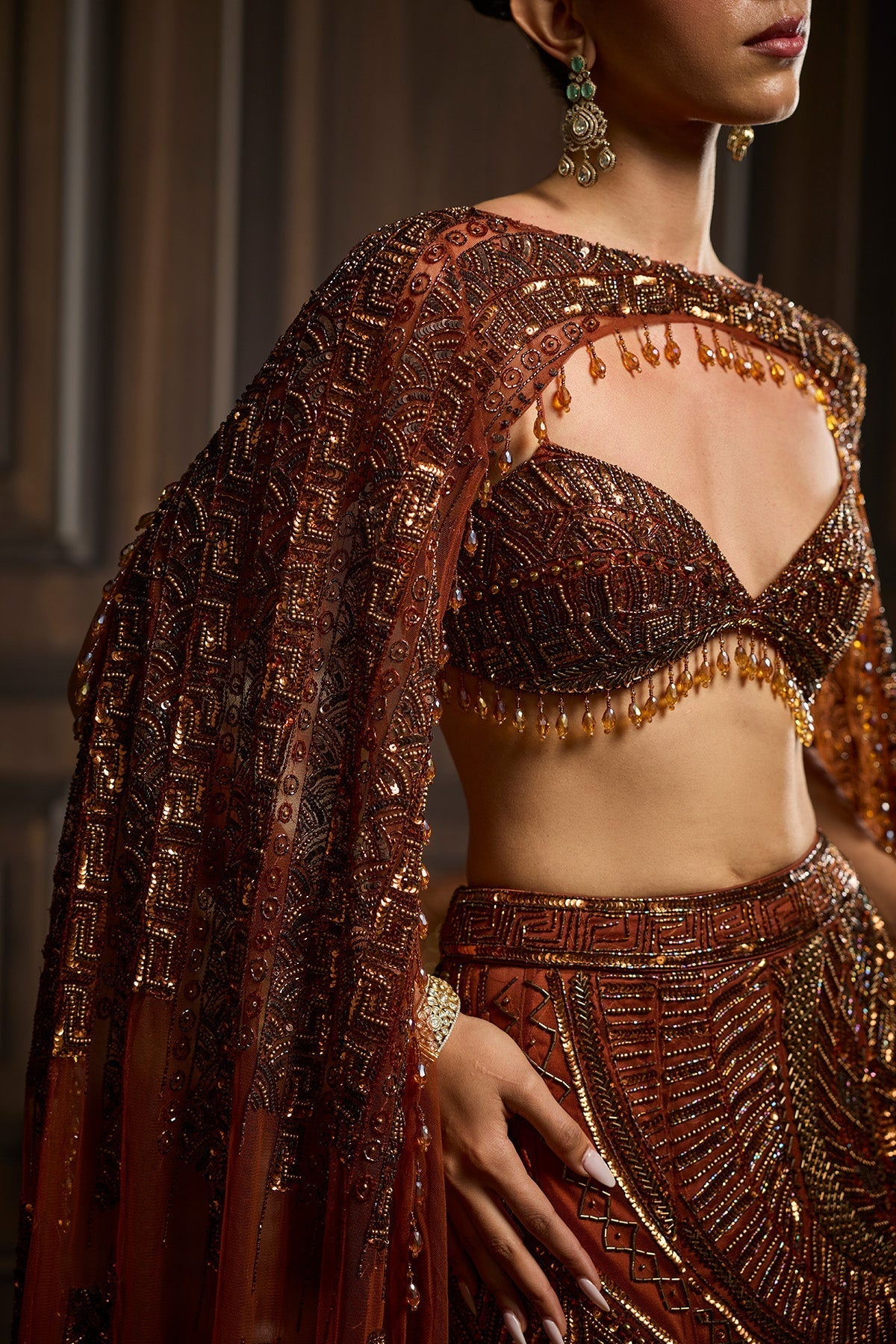 Caramel Brown Fully Embroidered Mermaid Trailskirt Set