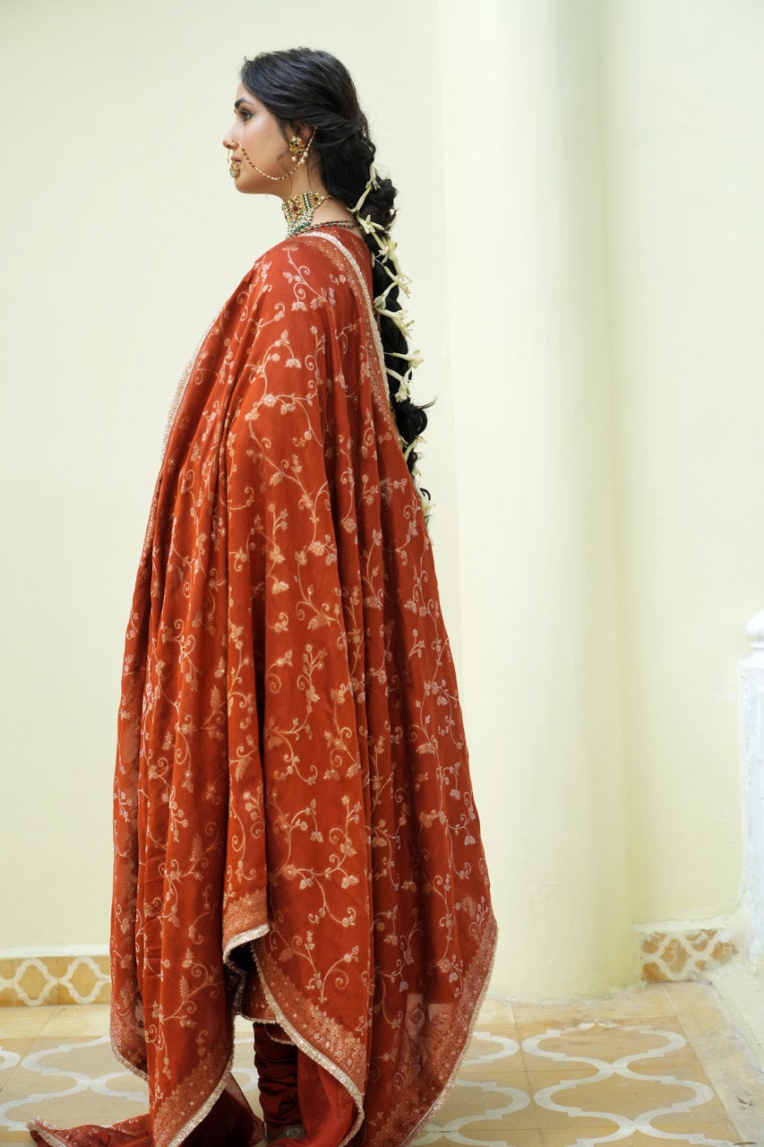 The Meral Anarkali