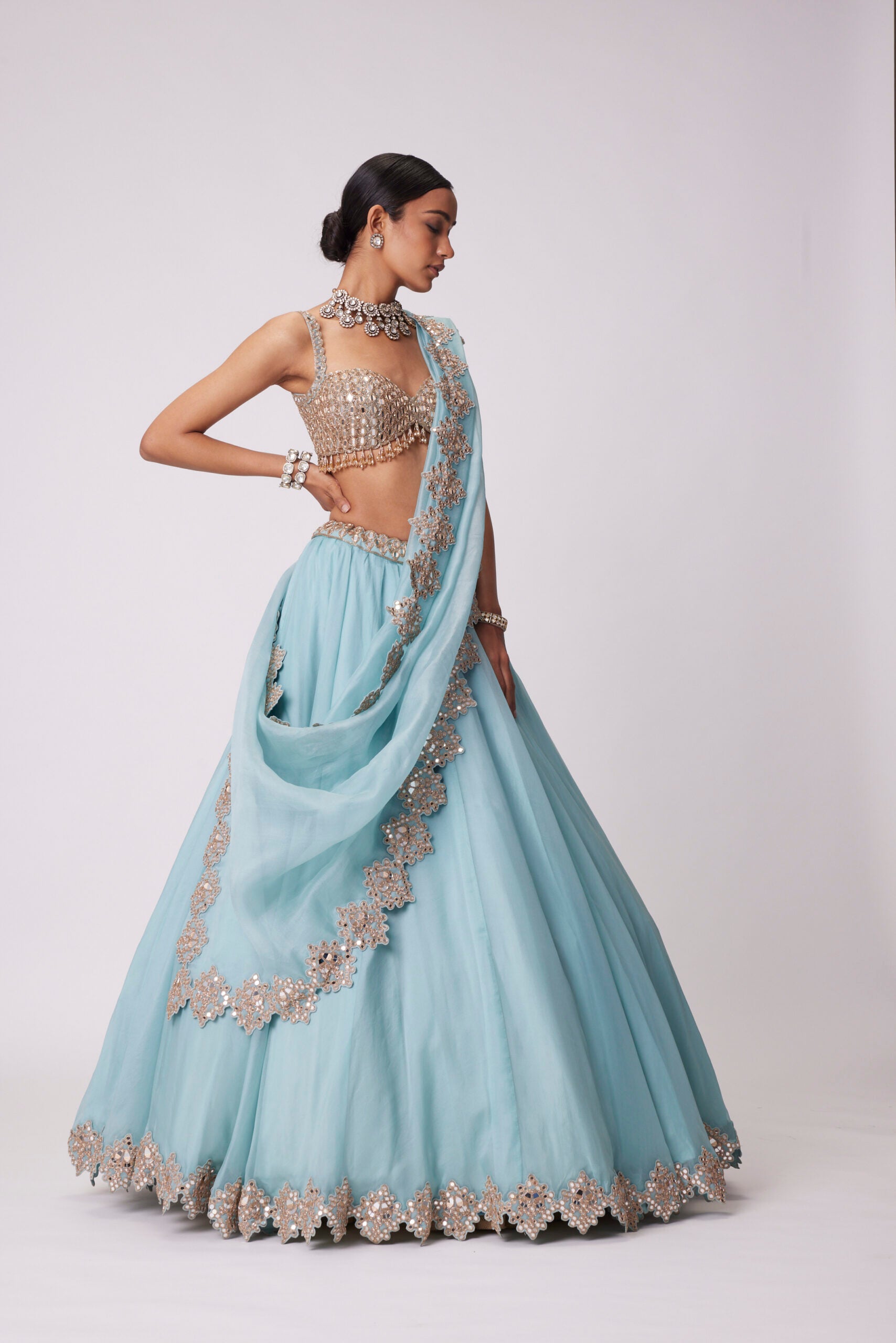 Powder Blue Organza hand Embroidered Lehenga Set