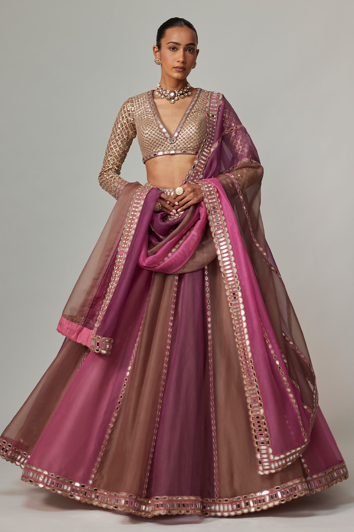 Mud Mauve Multicolor Lehenga With V Neck Blouse