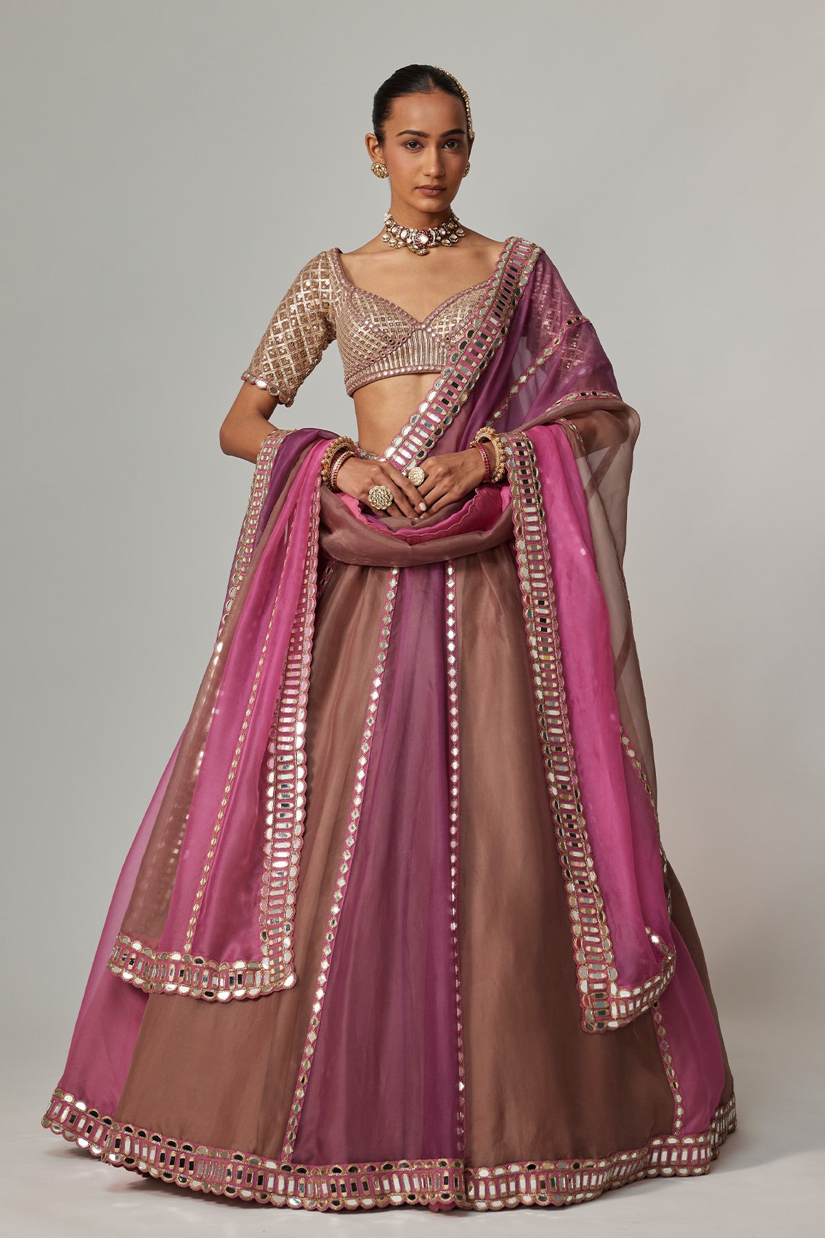 Mud Mauve Multicolor Lehenga With Elbow Sleeve Blouse